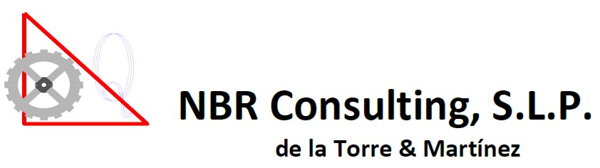 9113-NBR-CONSULTING-SLP